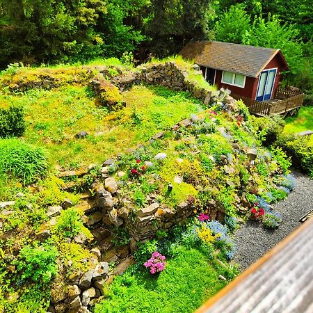 特夫日住宿加早餐旅馆 Velká Bukovina 外观 照片